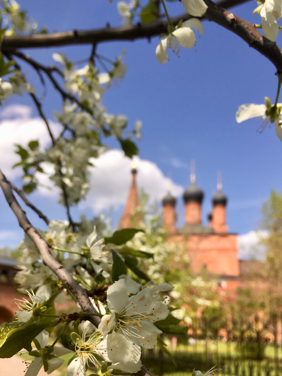 Фото автора. 