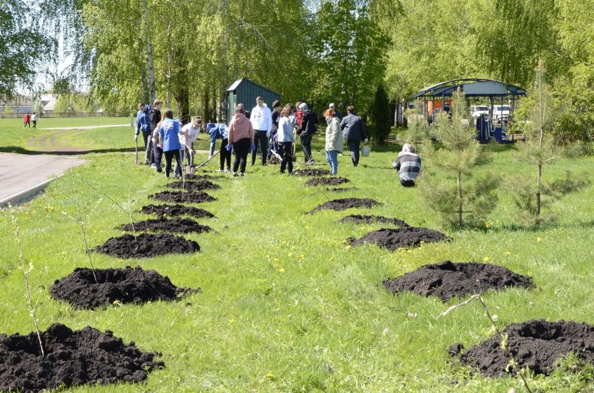 молодежный парк липецк