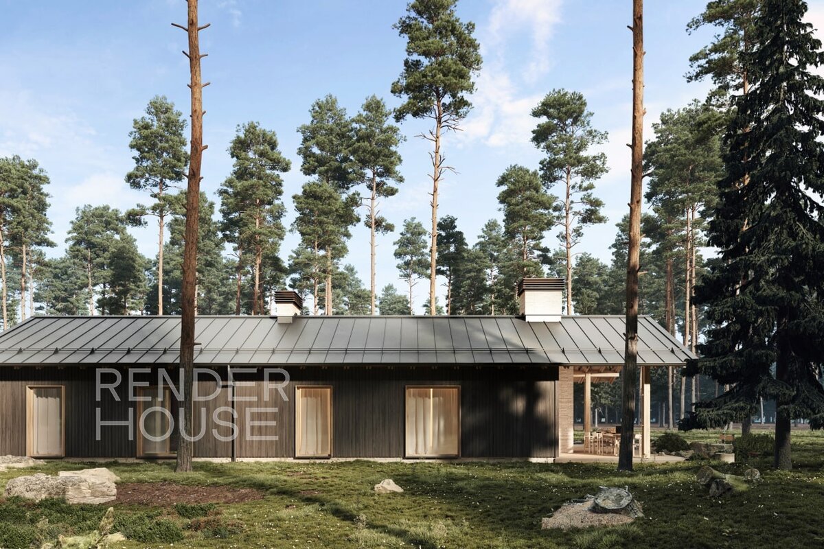 Проект LONG HOUSE, Render House 