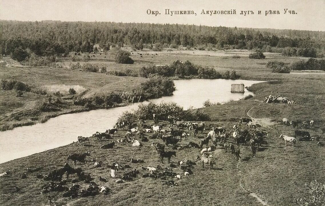 Памятники Маяковскому в Пушкино и на Акуловой горе | Прогулки по  Подмосковью | Дзен