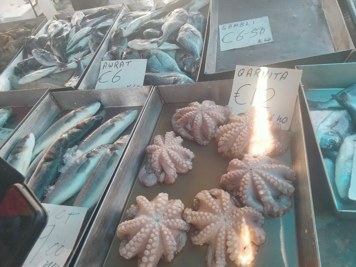 Осминожки