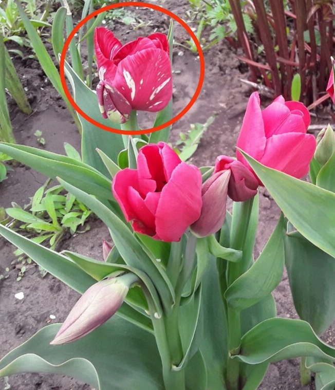 Фото с инета