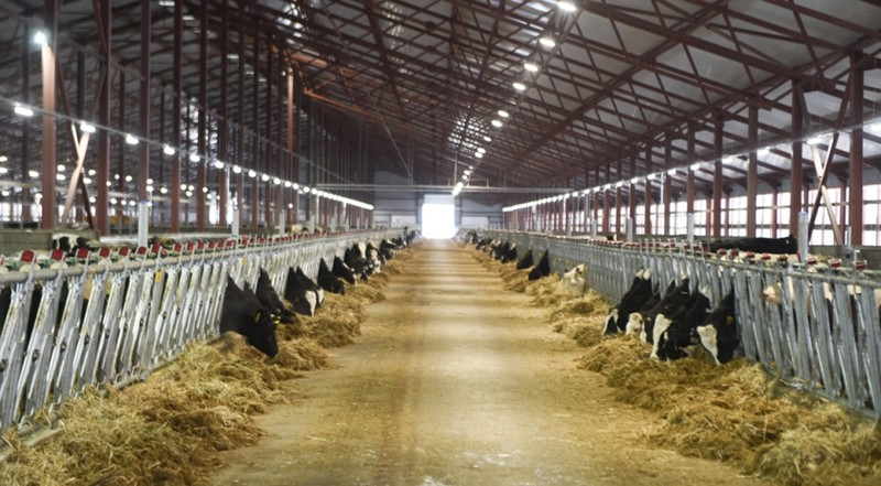 Мало движения больше еды, химия, вес растёт.