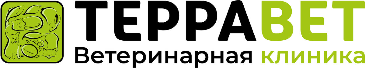 Круглосуточная ветеринарная клиника в Балашихе  - ТерраВЕТ