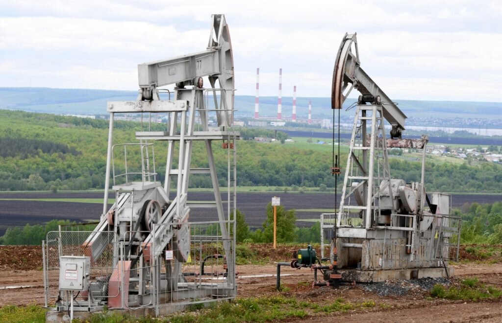    Максим Богодвид / РИА Новости