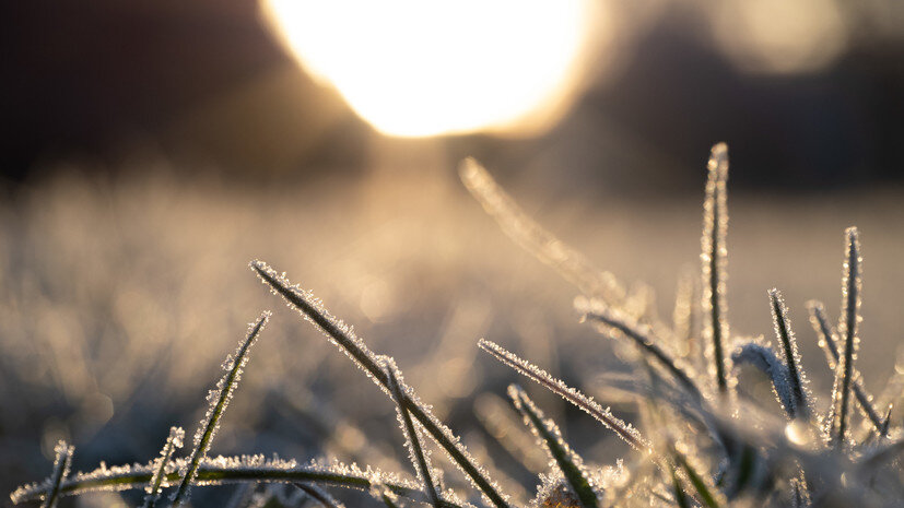   Gettyimages.ru k33x / 500px