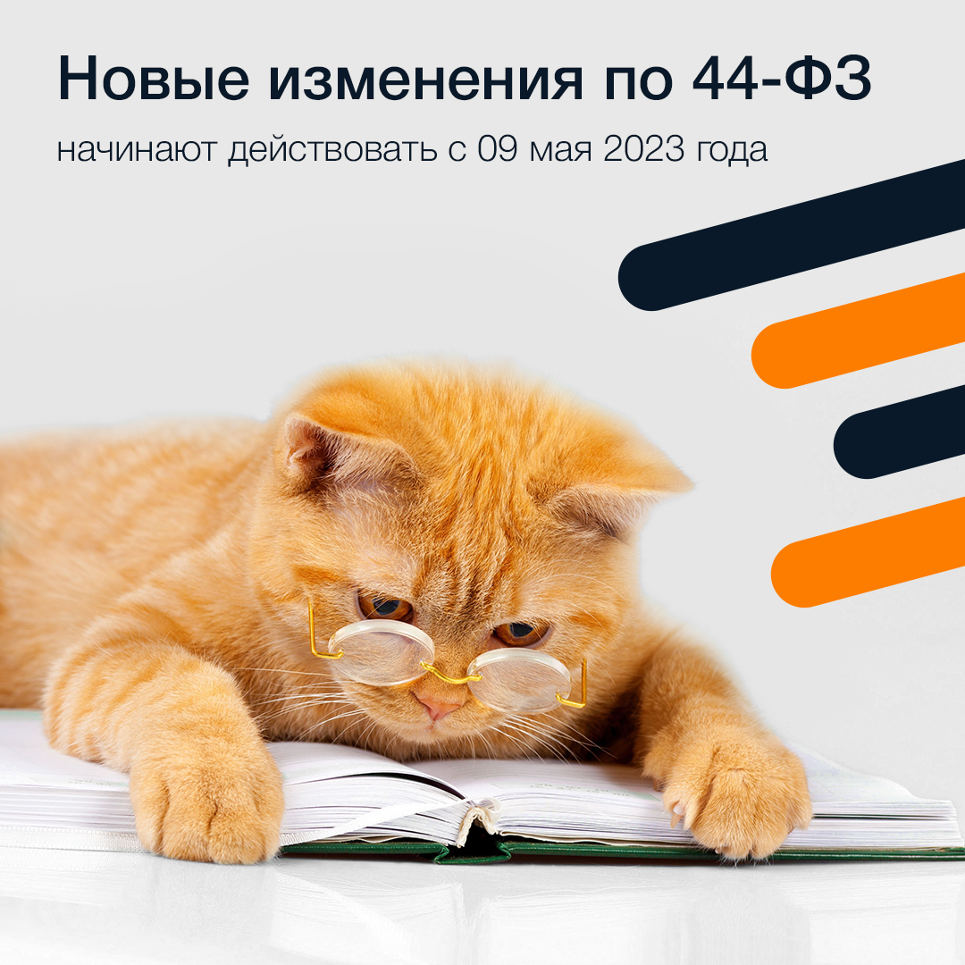 Изменения в 44 с 2023. Кот ученый. Постараюсь картинки. Смешной кот учёный. Ешкин рыжий кот кот.