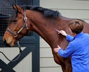 Добавьте описание