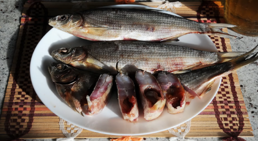 Netting Whitefish 