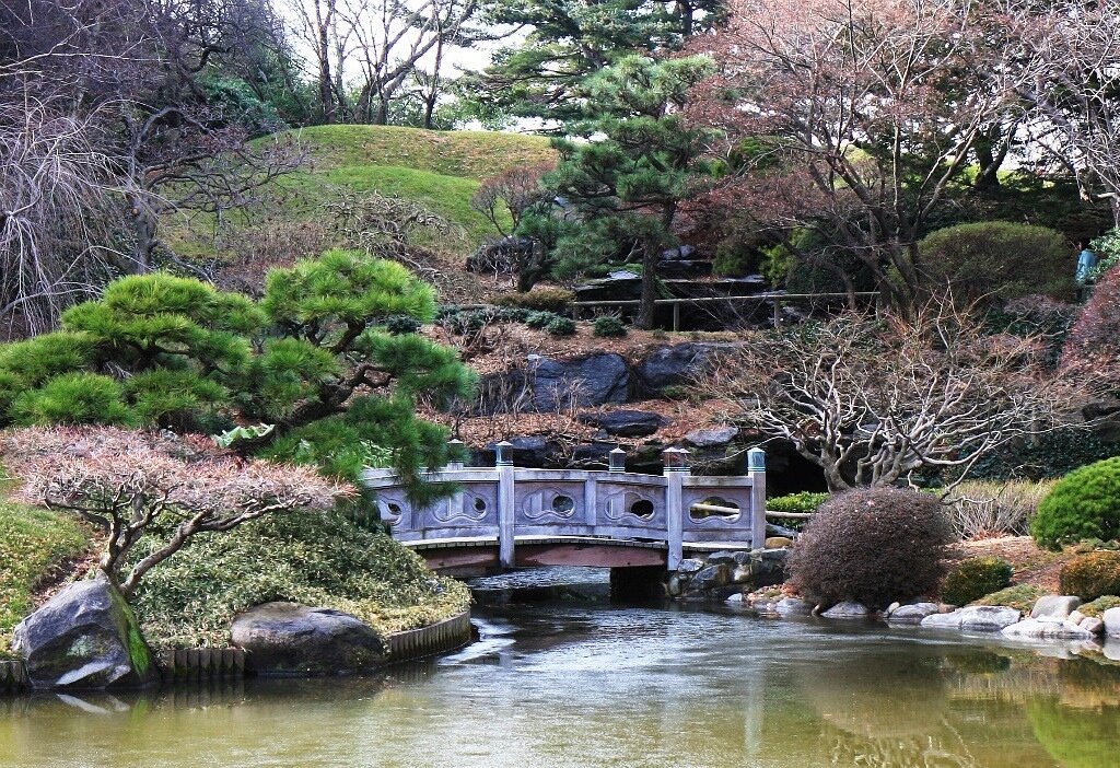 Фото японского сада в ботаническом саду в москве