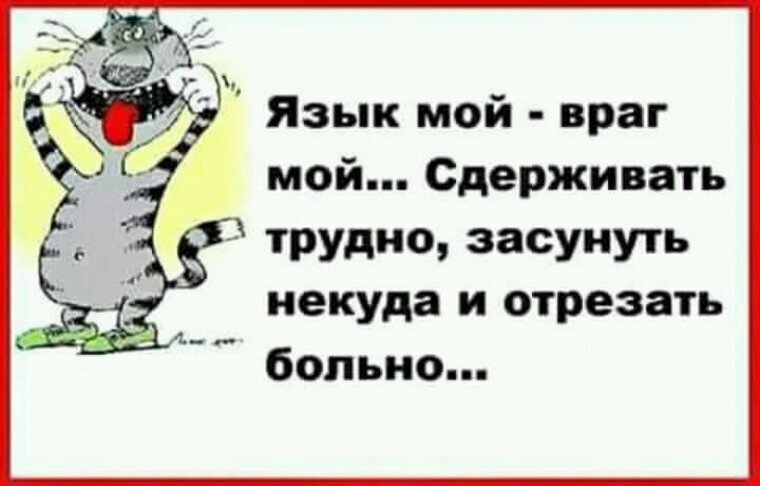 Источник Яндекс картинки 