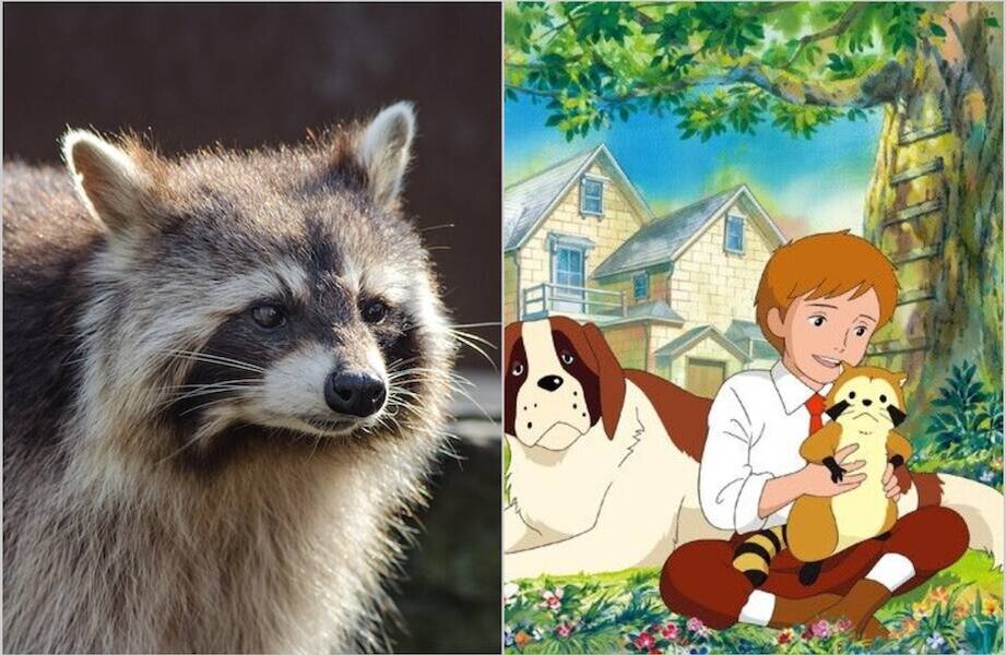    Фото: rawpixel.com