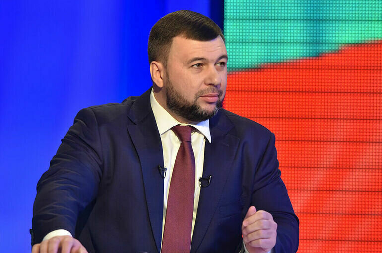   denis-pushilin.ru