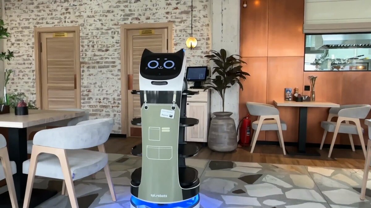 BellaBot робот официант в ресторане Скалки Палки в Костроме