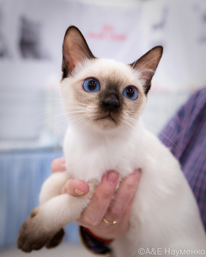 Варюша в детстве