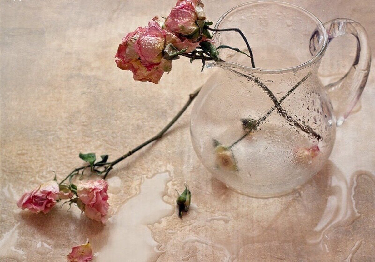Я найду свое счастье по увядшим цветам. Увядшие розы в вазе. Засохшие цветы. Увядающий цветок.