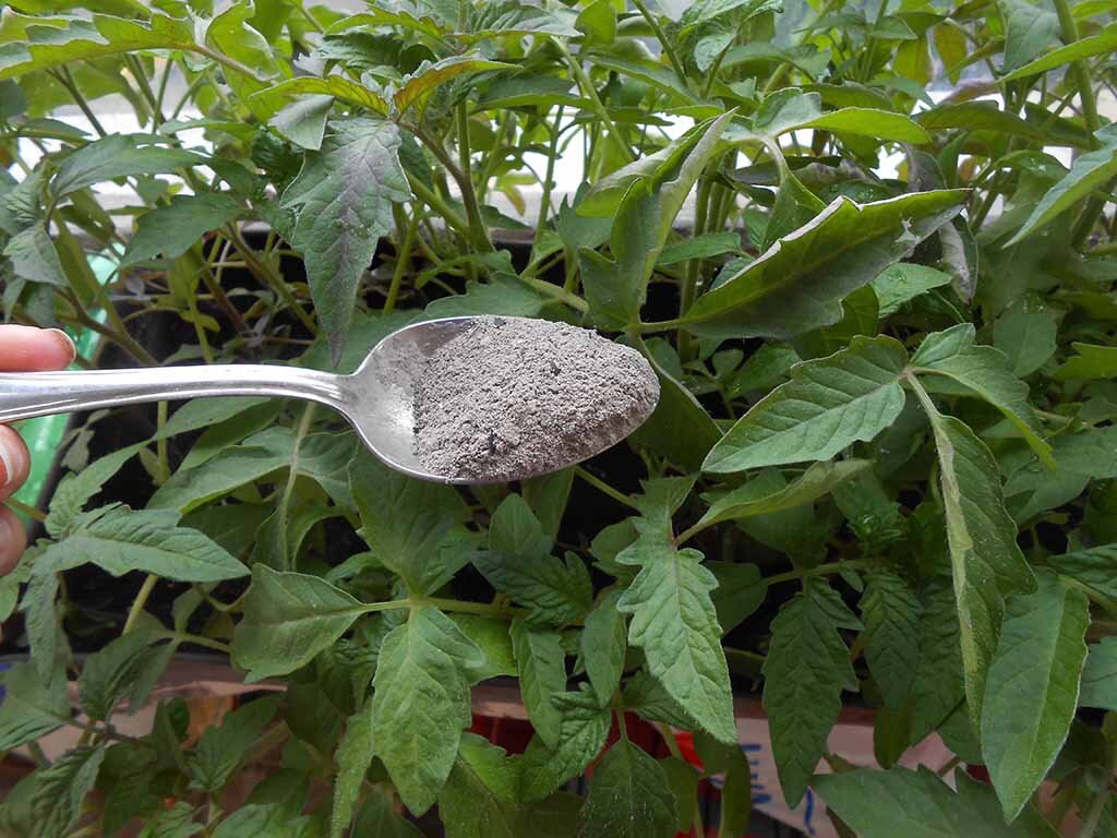 Источник:https://zametkiddach.ru