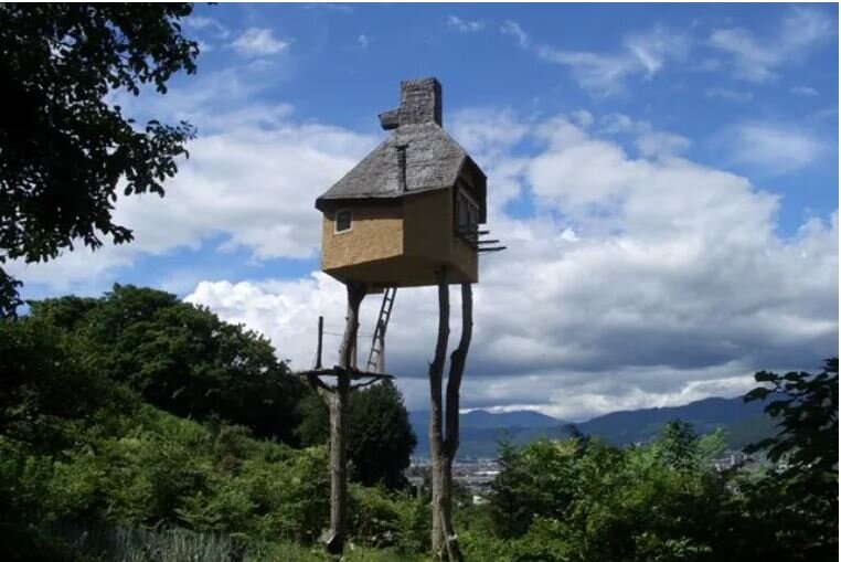 Такасуги Ан, Япония