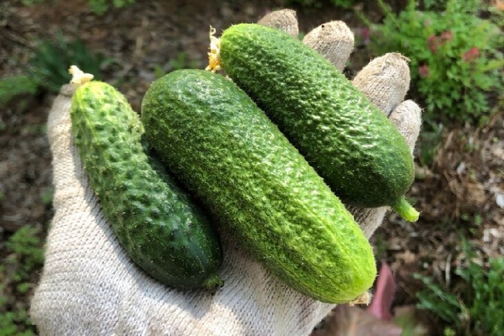 Фото со страницы Инги Болкуновой ВКонтакте.📷
