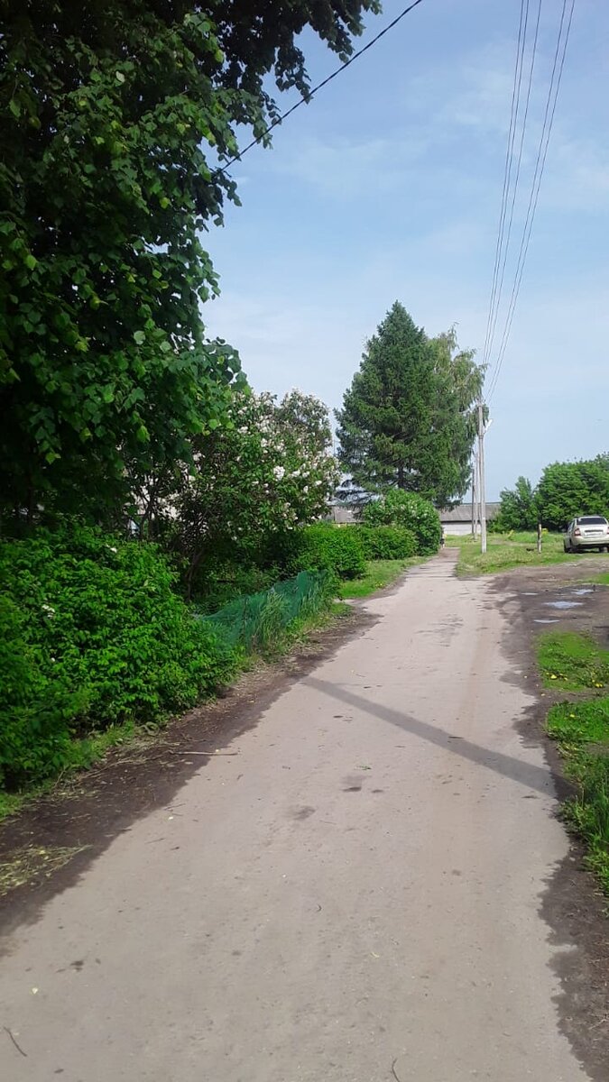 Кусочек нашей улицы.