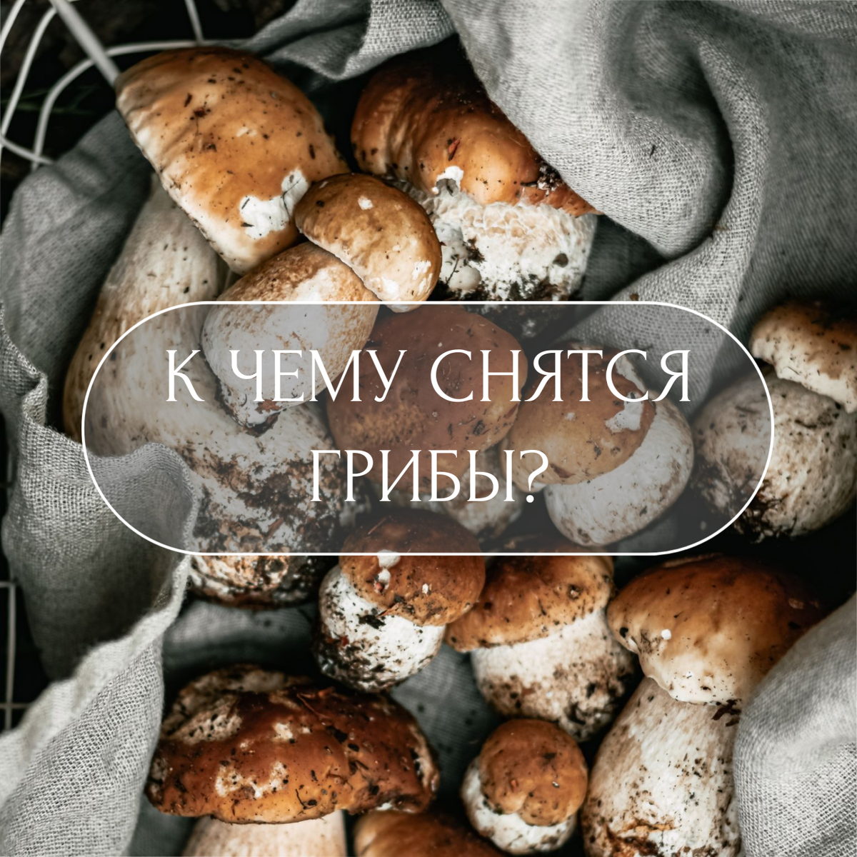    Шаблон из dashboard.supa 