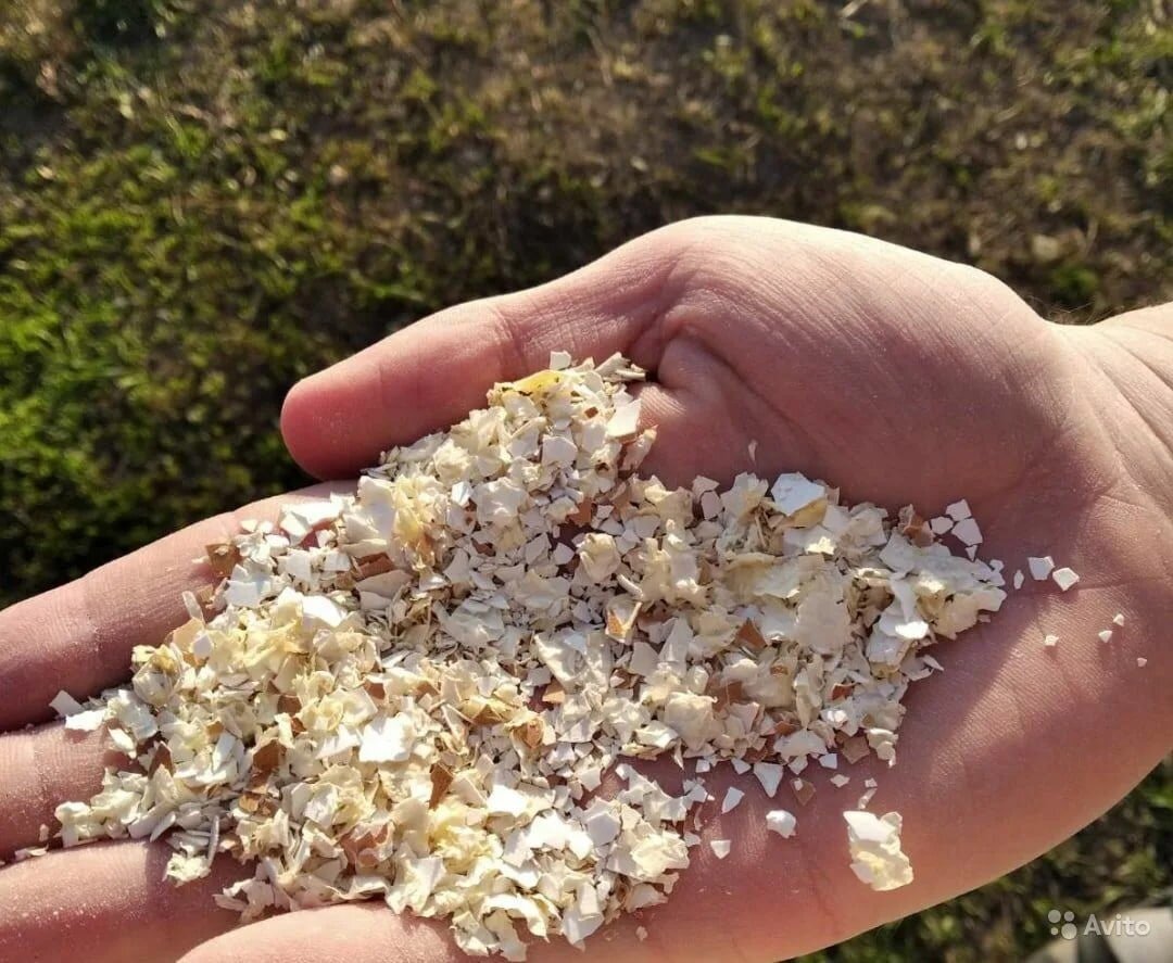 Фото из свободных источников