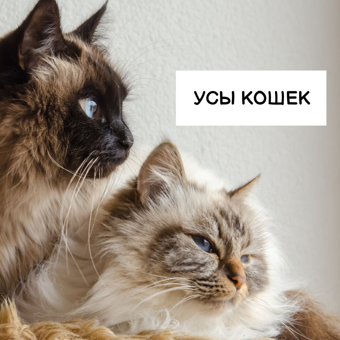 Красиво и функционально. 