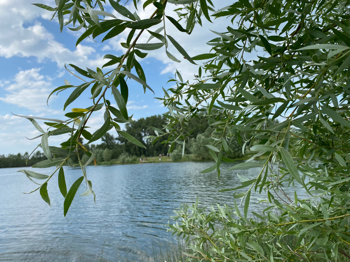 Соблюдение взаимных обязательств залог успешной работы