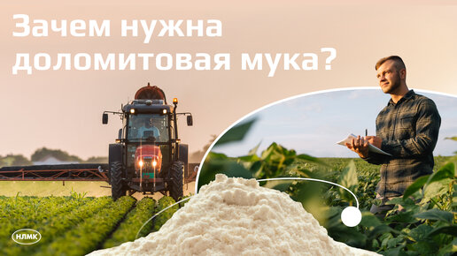 Зачем нужна доломитовая мука?