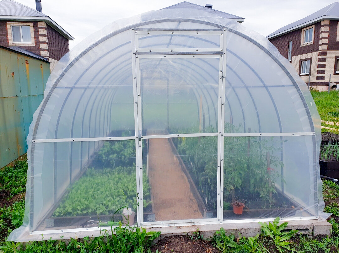 Парник из полипропиленовых труб. Карбонат для теплицы. Мобильная теплица. Прочный поликарбонат для теплицы. Поликарбонат листовой для теплиц.
