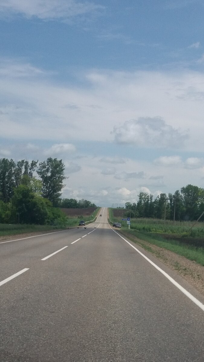 Все фото сделаны автором
