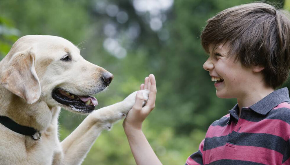 Фото из свободного доступа сети Интернет