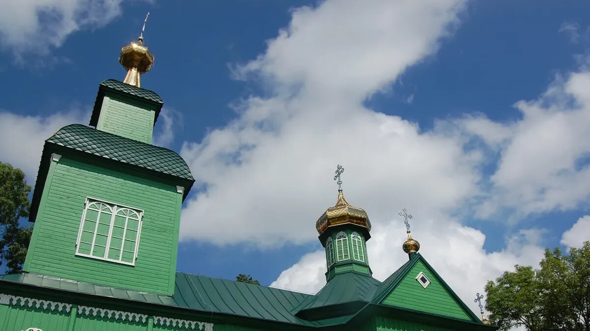 Люди из церкви приносят домой ветки либо траву. Фото: www.piqsels.com