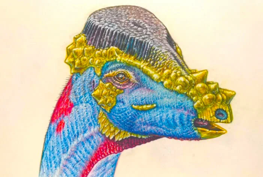 Фото с сайта Яндекс. Картинки