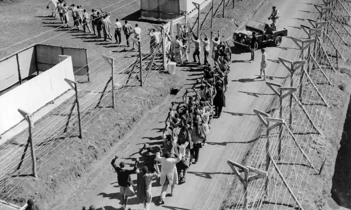 Участники восстания Мау-Мау на пути в лагерь для задержанных, 1954 год. Источник: https://www.theguardian.com/world/2017/mar/21/kenya-mau-mau-case-lawyers-contempt-parliament-foreign-office