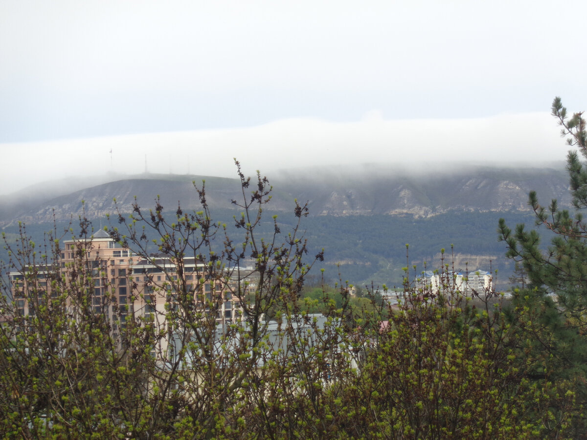 Фото автора.