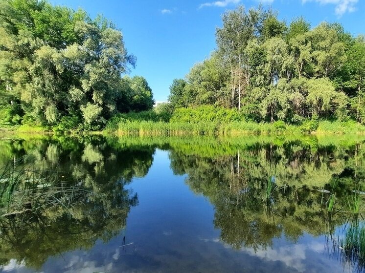 ФОТО: ЮЛИЯ ФРОЛОВА/ «МК В ТАМБОВЕ» 