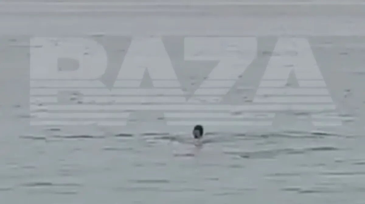 Фото: Стоп-кадр из видео / t.me/bazabazon