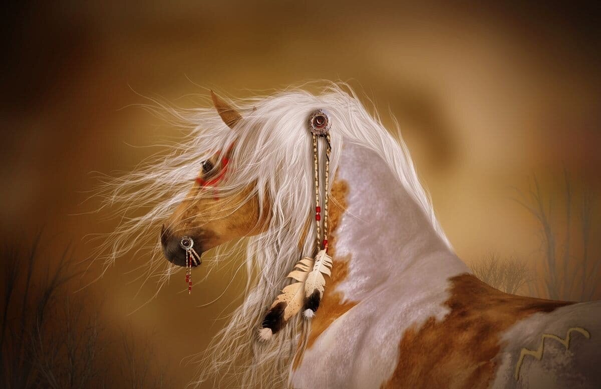 Indian horse. Индеец на лошади. Боевые лошади индейцев. Индейские лошадки. Лошади индейцев порода.