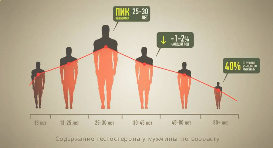 Источник фотографии: Яндекс картинки 
