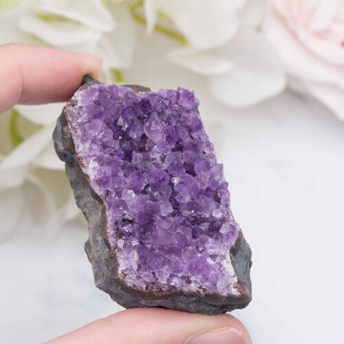 Источник фото: интернет, открытые источники.