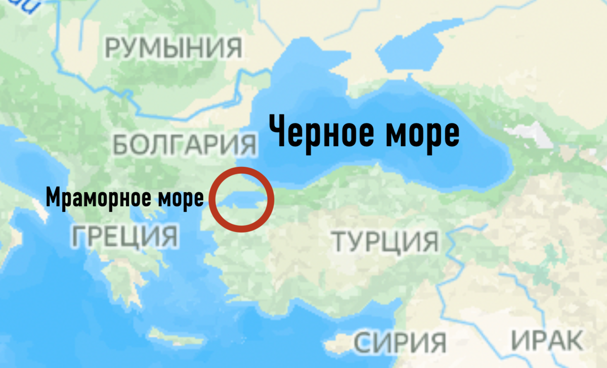 белая акула в черном море геленджик. почему в черное море не заплывают акулы. катран акула черного моря. акулы в чёрном море водятся в сочи. почему в черное море не заплывают акулы.