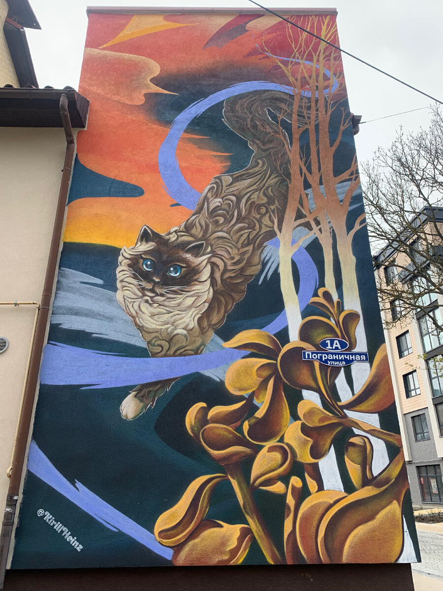 Кошки - символ Зеленоградска 