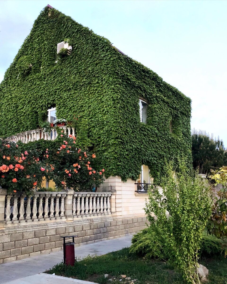 Знаменитый зеленый дом 🏡 