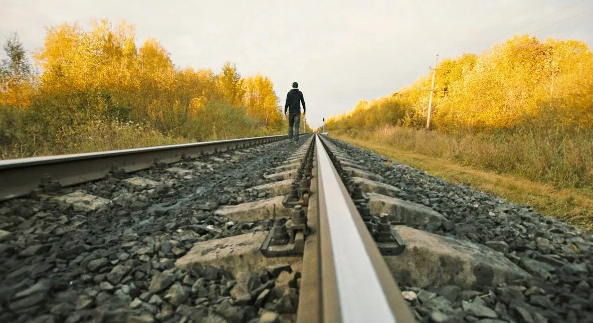 Яндекс картинки
