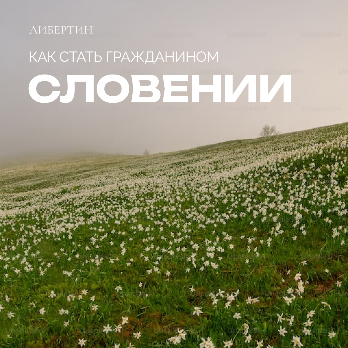 Гражданство Словении | Второе гражданство | «Либертин» | Дзен