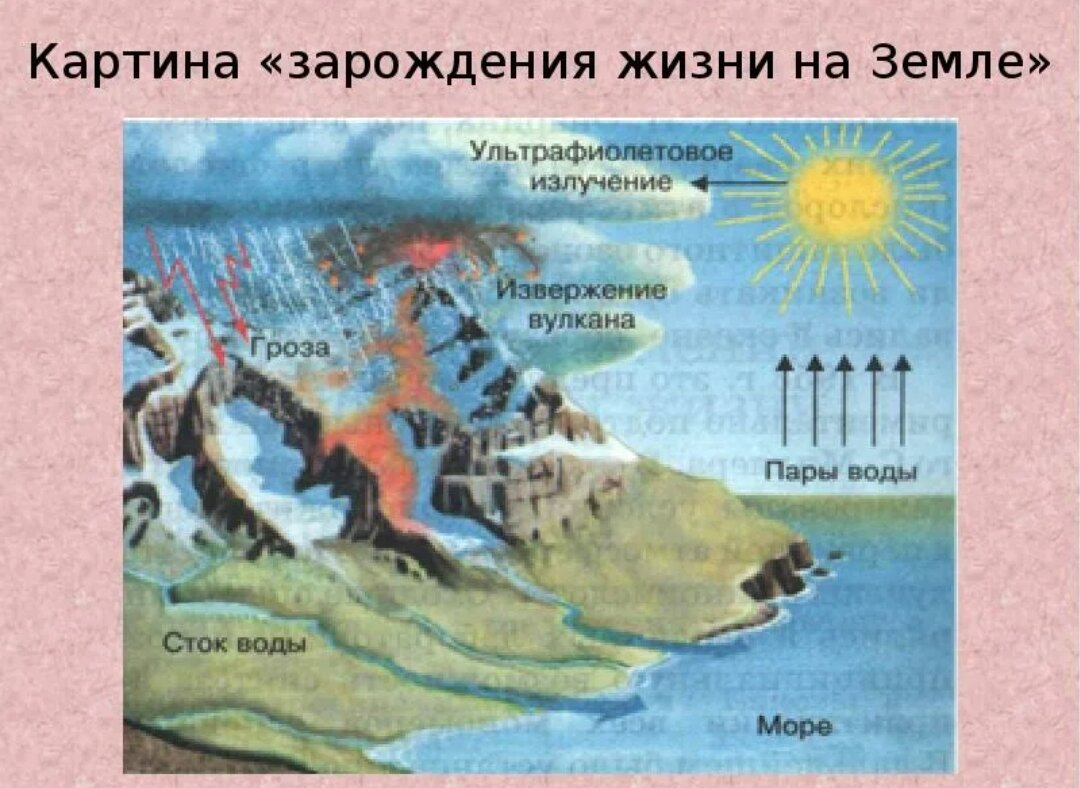 Жизнь на земле возникла. Зарождение жизни на земле. Жизнь на земле зародилась. Зарождение жизни на земле для детей. Появление жизни на земле для детей.