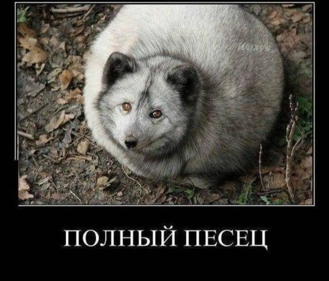 Он не так выглядит. Без макияжа мем. Печалька картинки. Сам себе лайк. Он не так выглядит.