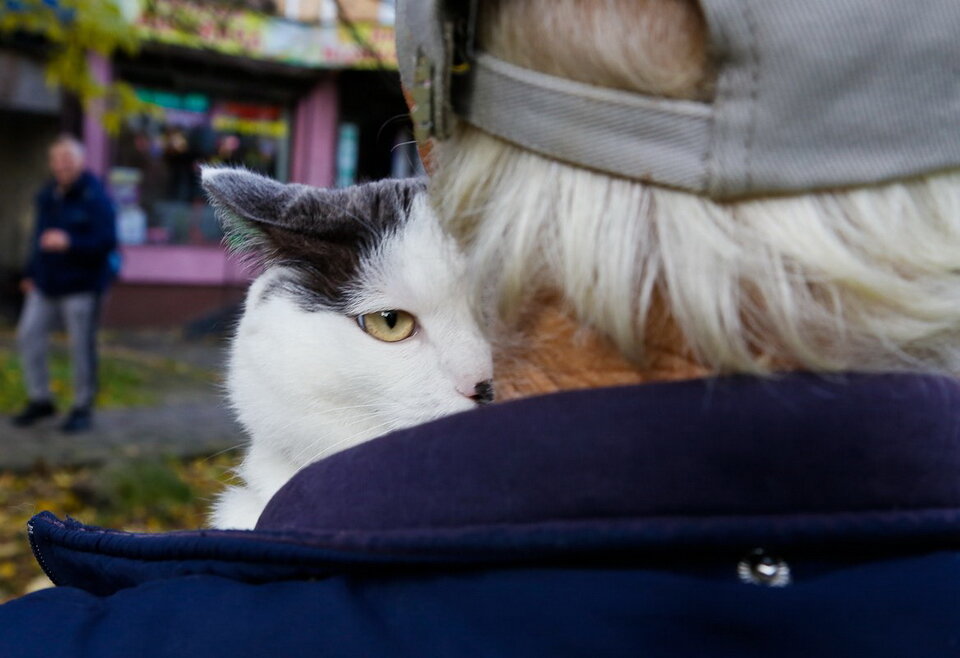 Петр Чурсин ходил с котом по магазинам, ездил в общественном транспорте, и все им улыбались