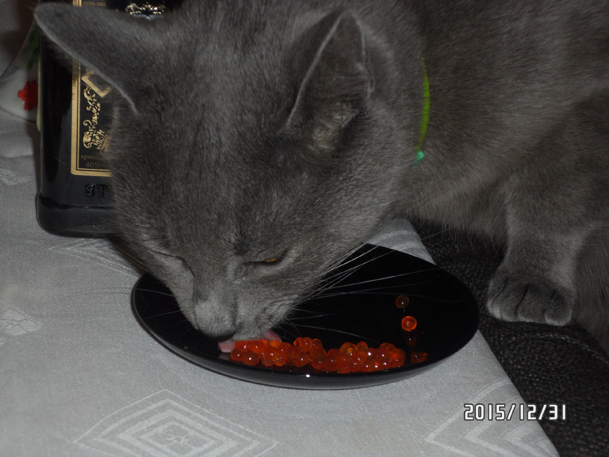 Ну видно, что любимый)